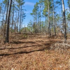 Photo #28 of Peacehaven, McConnells, SC