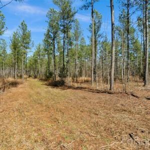 Photo #19 of Peacehaven, McConnells, SC
