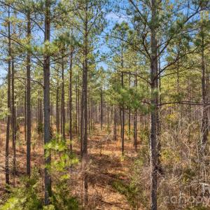 Photo #30 of Peacehaven, McConnells, SC
