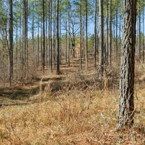 Photo #10 of Peacehaven, McConnells, SC