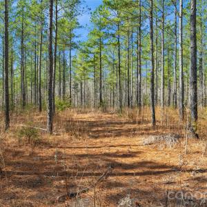 Photo #4 of Peacehaven, McConnells, SC
