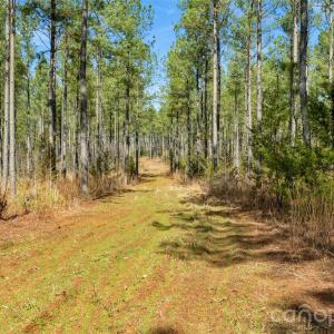 Photo #14 of Peacehaven, McConnells, SC