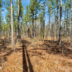 Photo #25 of Peacehaven, McConnells, SC