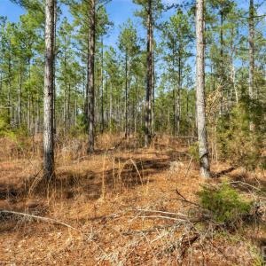 Photo #24 of Peacehaven, McConnells, SC