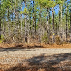 Photo #21 of Peacehaven, McConnells, SC