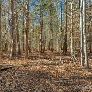 Photo #15 of Peacehaven, McConnells, SC