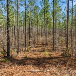Photo #13 of Peacehaven, McConnells, SC