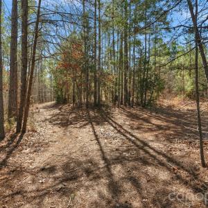 Photo #29 of Peacehaven, McConnells, SC