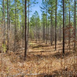 Photo #8 of Peacehaven, McConnells, SC