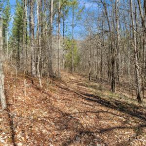 Photo #27 of Peacehaven, McConnells, SC