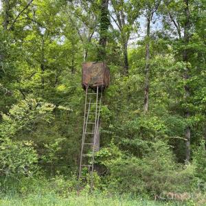 Photo #18 of 59 AC Lancaster Hwy, Chester, SC