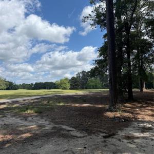 Photo #3 of TBD Fairway, Pageland, SC