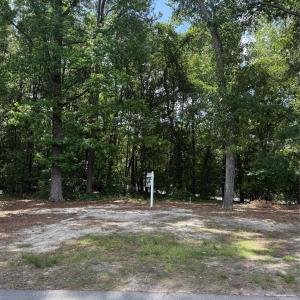 Photo #4 of TBD Fairway, Pageland, SC