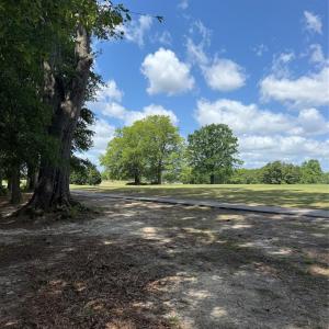 Photo #2 of TBD Fairway, Pageland, SC