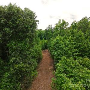 Photo #7 of Society Hill, Society Hill, SC