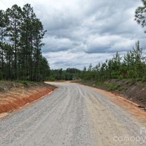 Photo #17 of 17ac JC Barefoot, Patrick, SC