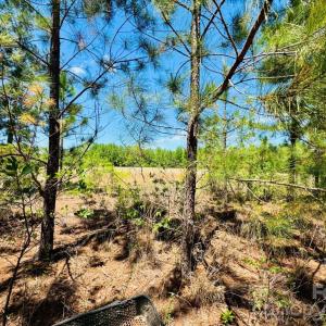 Photo #6 of 17ac JC Barefoot, Patrick, SC