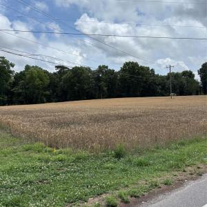 Photo #2 of Olive Branch, Wingate, NC