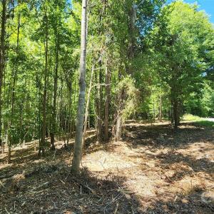 Photo #31 of 480 Brown, Spartanburg, SC