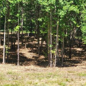 Photo #36 of 480 Brown, Spartanburg, SC