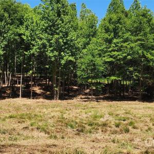 Photo #35 of 480 Brown, Spartanburg, SC