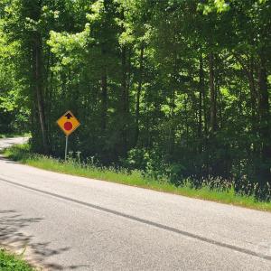 Photo #37 of 480 Brown, Spartanburg, SC