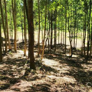 Photo #25 of 480 Brown, Spartanburg, SC