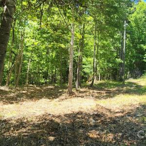 Photo #30 of 480 Brown, Spartanburg, SC