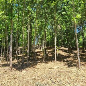 Photo #33 of 480 Brown, Spartanburg, SC