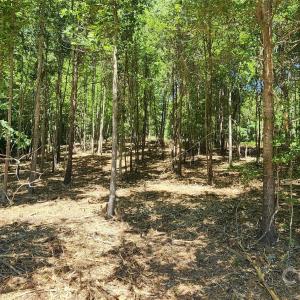 Photo #22 of 480 Brown, Spartanburg, SC