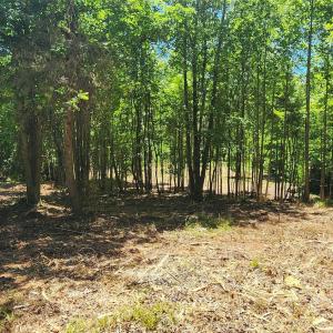 Photo #27 of 480 Brown, Spartanburg, SC