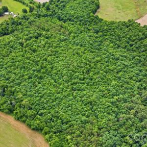 Photo #6 of 12020 NC HWY 73, Mount Pleasant, NC