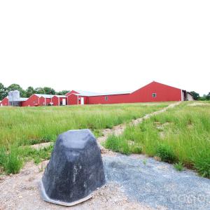 Photo #14 of 34230 George, Albemarle, NC