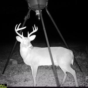 Photo #8 of 7908 Concord, Monroe, NC