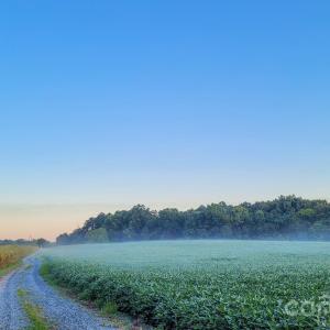 Photo #5 of 7908 Concord, Monroe, NC