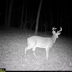 Photo #9 of 7908 Concord, Monroe, NC