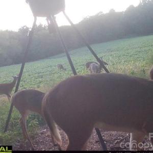 Photo #10 of 7908 Concord, Monroe, NC