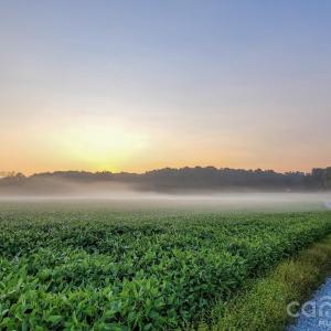 Photo #1 of 7908 Concord, Monroe, NC