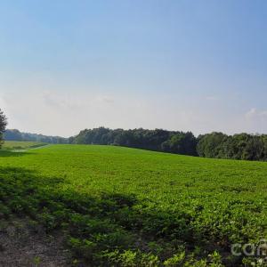 Photo #7 of 7908 Concord, Monroe, NC