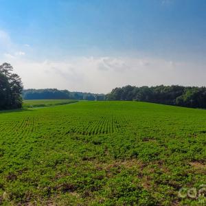 Photo #6 of 7908 Concord, Monroe, NC
