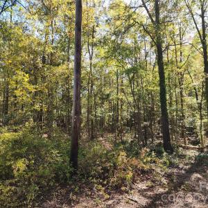 Photo #25 of 1040 Apollo, Lancaster, SC