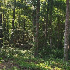 Photo #12 of 1040 Apollo, Lancaster, SC