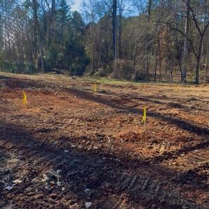Photo #6 of 2330 Montford, Concord, NC