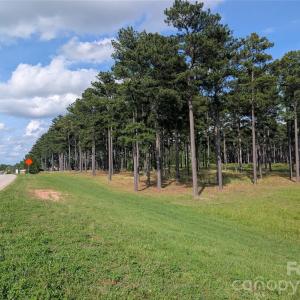 Photo #3 of Alexander Love, York, SC
