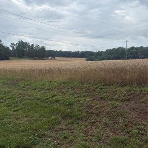 Photo #2 of 3434 Morgan Mill, Monroe, NC