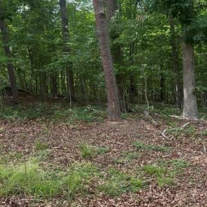 Photo #2 of Acorn Acres, Norwood, NC