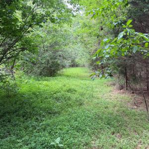 Photo #17 of Herbert Faucette, Bullock, NC