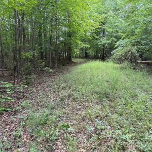 Photo #19 of Herbert Faucette, Bullock, NC