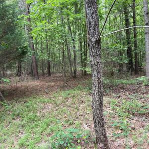 Photo #16 of Herbert Faucette, Bullock, NC