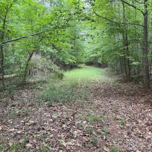 Photo #27 of Herbert Faucette, Bullock, NC